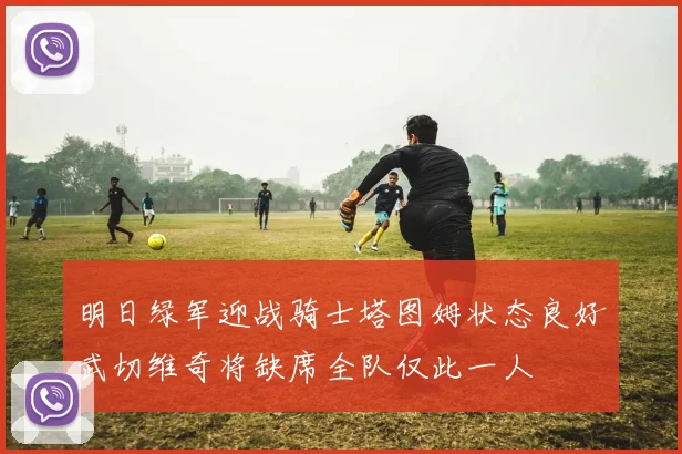 明日绿军迎战骑士塔图姆状态良好武切维奇将缺席全队仅此一人