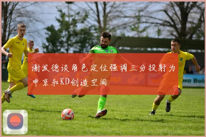 谢泼德谈角色定位强调三分投射为申京和KD创造空间